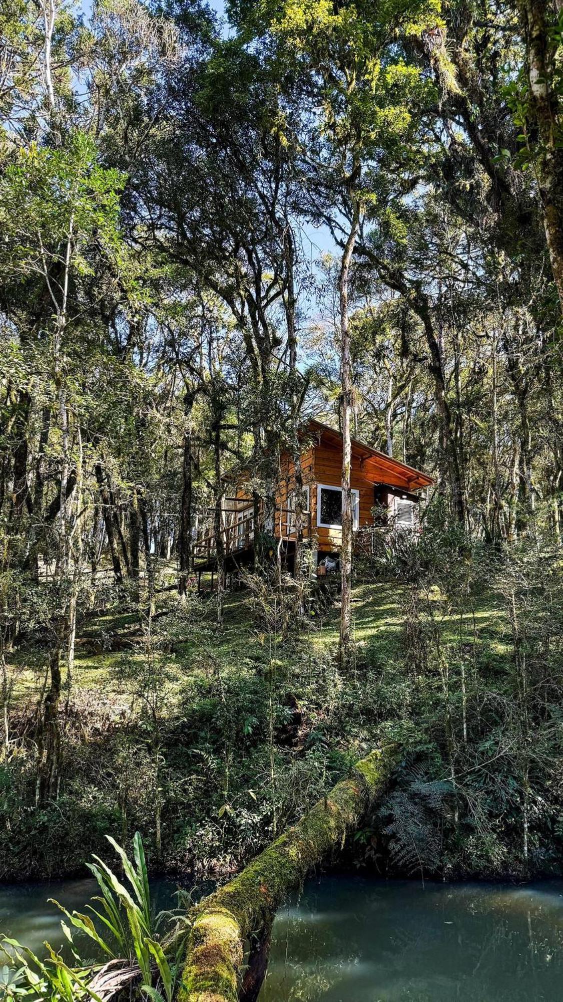 Holiday home Hidromassagem Morada Alma Gemea Bateias de Baixo